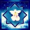 ANIO�